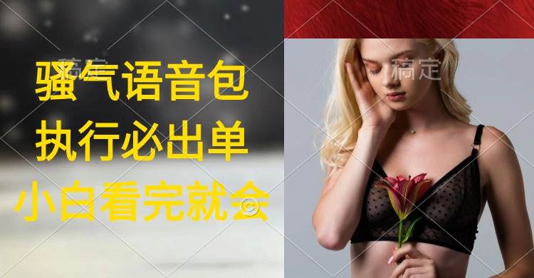 （9589期）执行就出单，日入2000+，超火骚气语音包，小白看完课程就能马上实操-千寻创业网