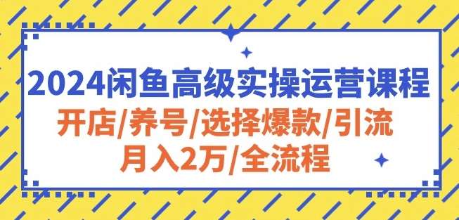 2024闲鱼高级实操运营课程：开店/养号/选择爆款/引流/月入2万/全流程-千寻创业网