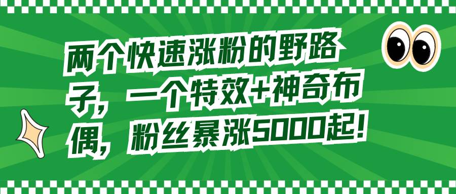（8606期）两个快速涨粉的野路子，一个特效+神奇布偶，粉丝暴涨5000起！-千寻创业网