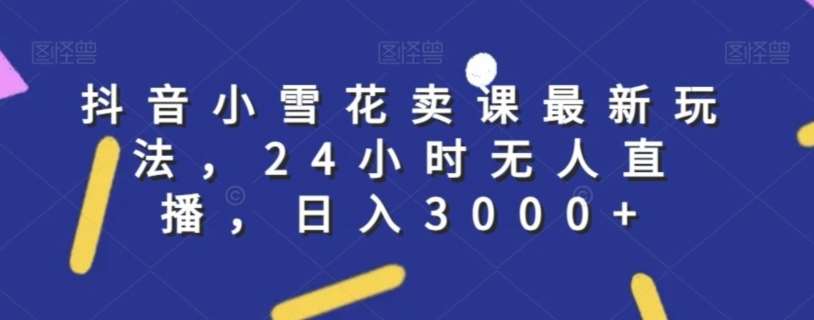 抖音小雪花卖课最新玩法，24小时无人直播，日入3000+【揭秘】-千寻创业网