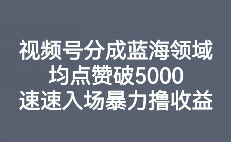 视频号分成蓝海领域，均点赞破5000，速速入场暴力撸收益-千寻创业网