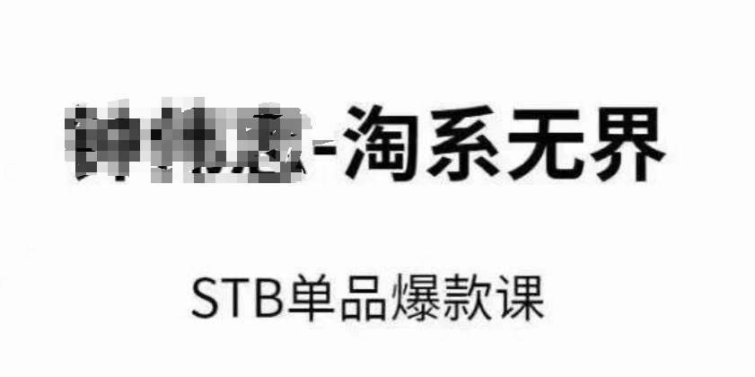 淘系无界STB单品爆款课（2024），付费带动免费的核心逻辑，万相台无界关键词推广/精准人群的核心-千寻创业网