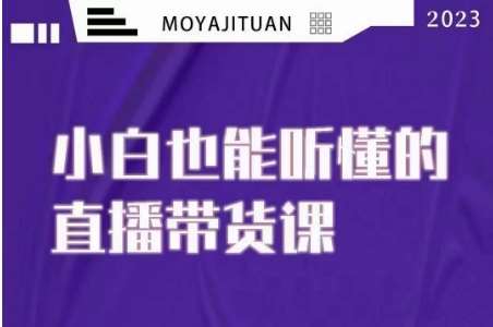 大威本威·能听懂的直播带货课，小白也能听懂，20节完整-千寻创业网