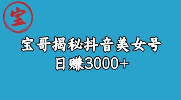 宝哥揭秘抖音美女号玩法，日赚3000+【揭秘】-千寻创业网