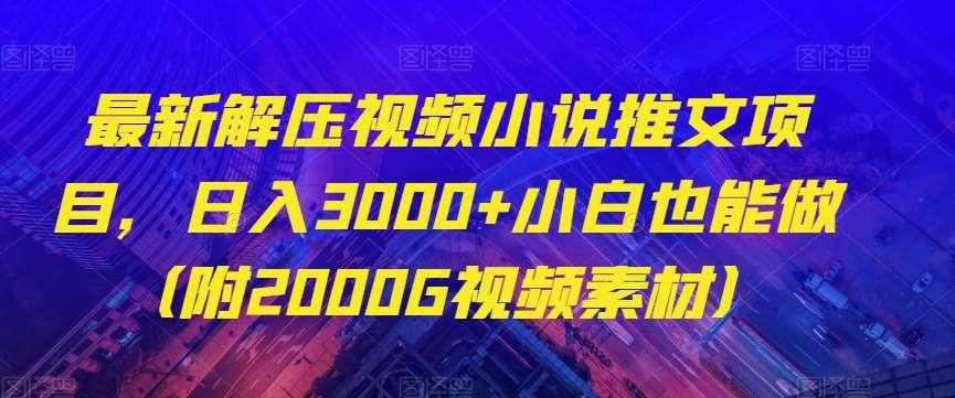 最新解压视频小说推文项目，日入3000+小白也能做（附2000G视频素材）【揭秘】-千寻创业网