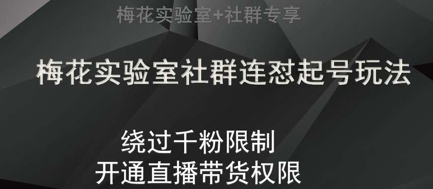 梅花实验室社群连怼起号玩法，视频号绕过千粉限制，开通直播带货权限【揭秘】-千寻创业网