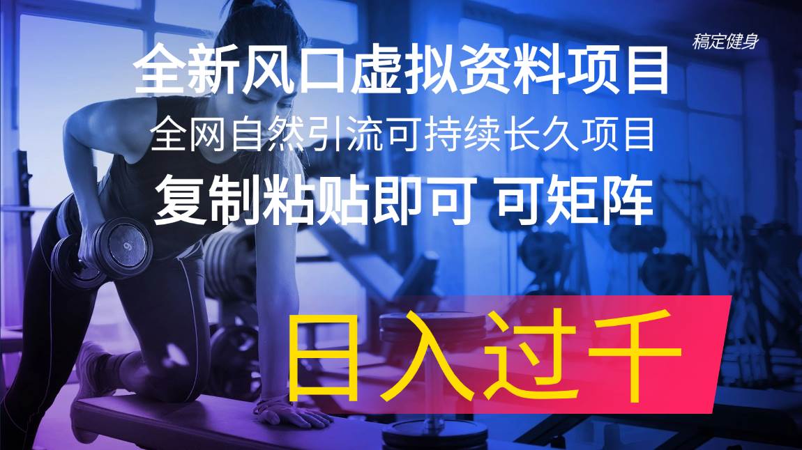 （11587期）全新风口虚拟资料项目 全网自然引流可持续长久项目 复制粘贴即可可矩阵…-千寻创业网