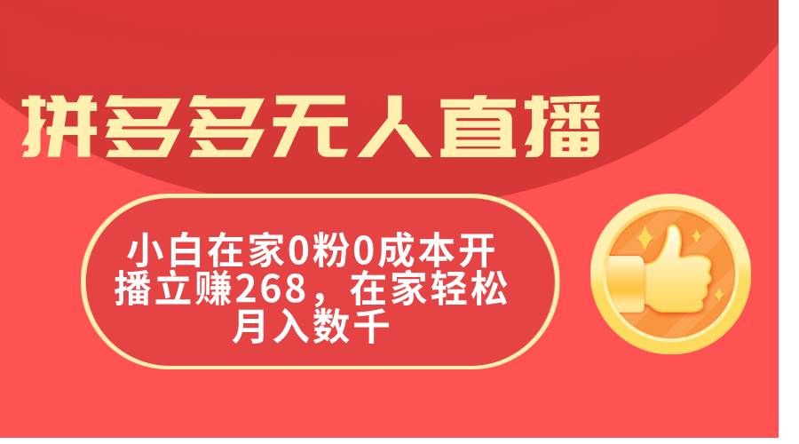 （11521期）拼多多无人直播，小白在家0粉0成本开播立赚268，在家轻松月入数千-千寻创业网