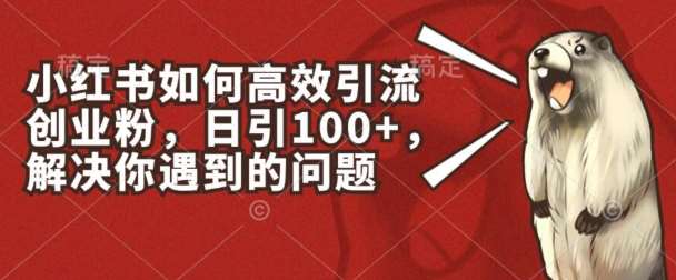 小红书如何高效引流创业粉，日引100+，解决你遇到的问题【揭秘】-千寻创业网