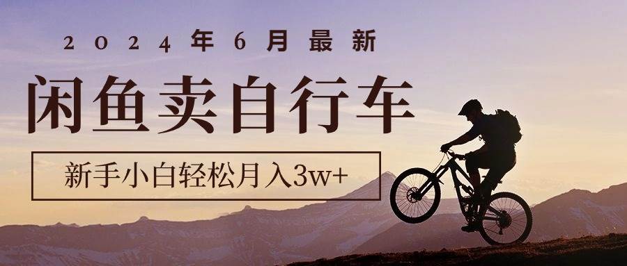 （10915期）2024年6月最新闲鱼卖自行车，新手小白轻松月入3w+项目-千寻创业网