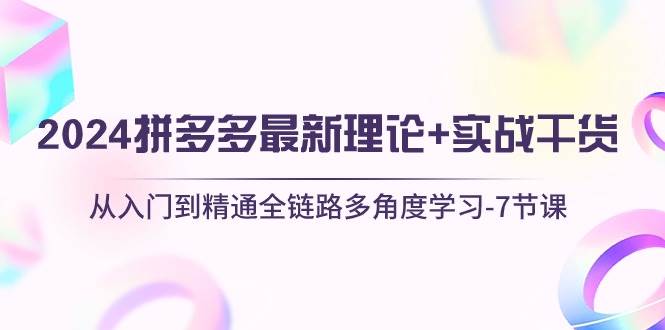 （10816期）2024拼多多 最新理论+实战干货，从入门到精通全链路多角度学习-7节课-千寻创业网