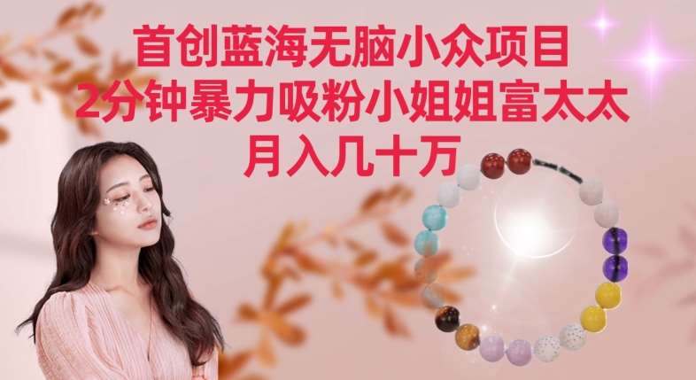 首创蓝海无脑小众项目，2分钟暴力吸粉小姐姐富太太，月入几十万【揭秘】-千寻创业网