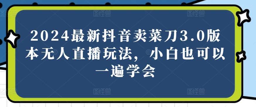2024最新抖音卖菜刀3.0版本无人直播玩法，小白也可以一遍学会【揭秘】-千寻创业网