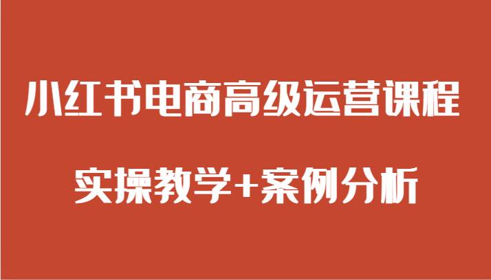 小红书电商高级运营课程 实操教学+案例分析-千寻创业网
