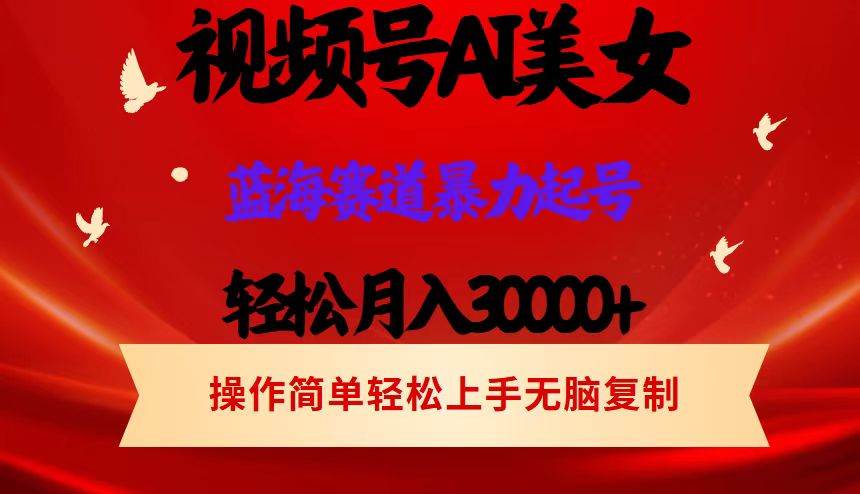 （12178期）视频号AI美女跳舞，轻松月入30000+，蓝海赛道，流量池巨大，起号猛，当…-千寻创业网