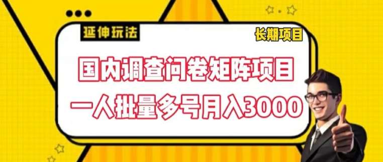 国内调查问卷矩阵项目，一人批量多号月入3000【揭秘】-千寻创业网
