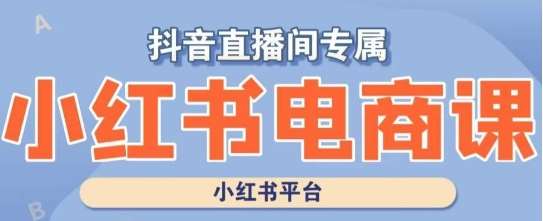小红书电商高级运营课程，实操教学+案例分析-千寻创业网