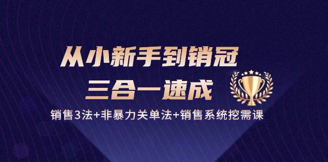 （10799期）从小新手到销冠 三合一速成：销售3法+非暴力关单法+销售系统挖需课 (27节)-千寻创业网