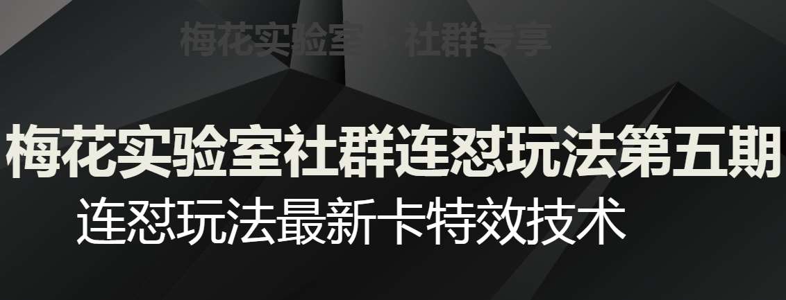 梅花实验室社群连怼玩法第五期，视频号连怼玩法最新卡特效技术-千寻创业网