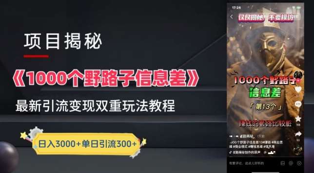 一千个野路子信息差最新玩法教程-变现+引流的玩法具体拆解【揭秘】-千寻创业网