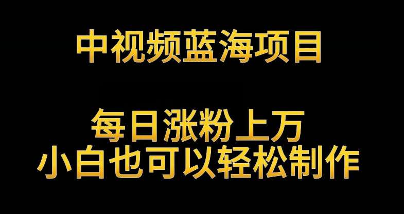 中视频蓝海项目，解读英雄人物生平，每日涨粉上万，小白也可以轻松制作，月入过万不是梦【揭秘】-千寻创业网