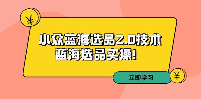 （9189期）拼多多培训第33期：小众蓝海选品2.0技术-蓝海选品实操！-千寻创业网