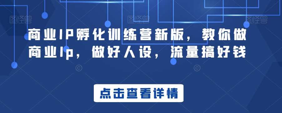 商业IP孵化训练营新版，教你做商业Ip，做好人设，流量搞好钱-千寻创业网