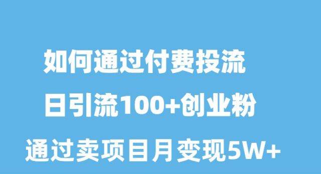 （10189期）如何通过付费投流日引流100+创业粉月变现5W+-千寻创业网