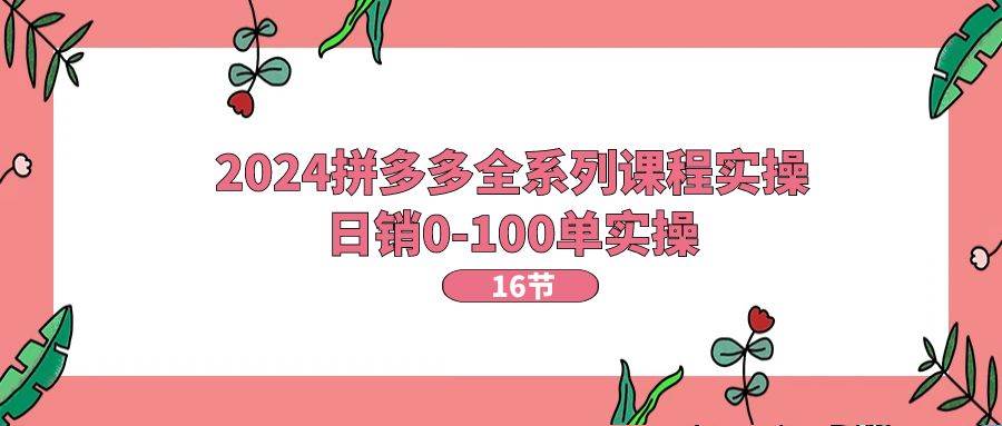 （11222期）2024拼多多全系列课程实操，日销0-100单实操【16节课】-千寻创业网