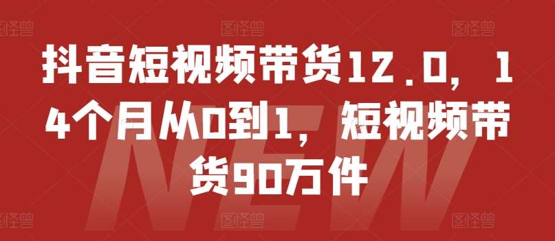 抖音短视频带货12.0，14个月从0到1，短视频带货90万件-千寻创业网