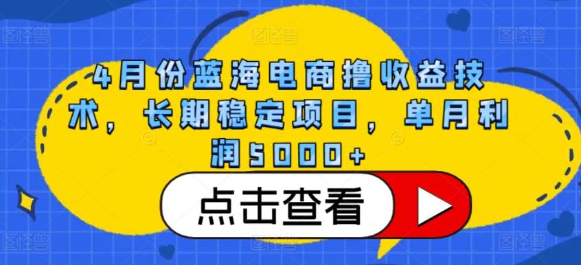 4月份蓝海电商撸收益技术，长期稳定项目，单月利润5000+【揭秘】-千寻创业网