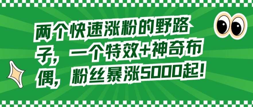两个快速涨粉的野路子，一个特效+神奇布偶，粉丝暴涨5000起【揭秘】-千寻创业网