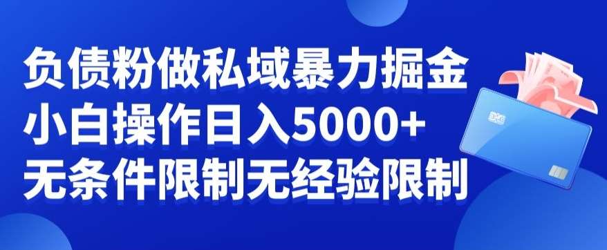 负债粉私域暴力掘金，小白操作入5000，无经验限制，无条件限制【揭秘】-千寻创业网