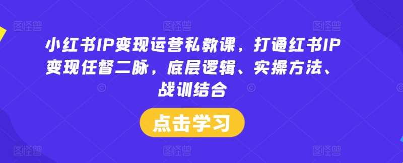 小红书IP变现运营私教课，打通红书IP变现任督二脉，底层逻辑、实操方法、战训结合-千寻创业网