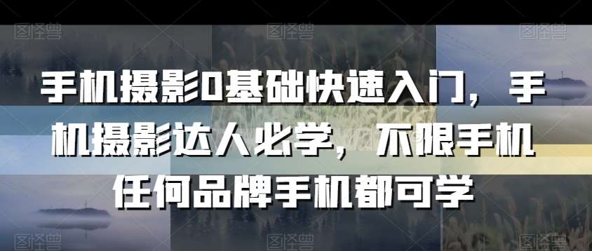 手机摄影0基础快速入门，手机摄影达人必学，不限手机任何品牌手机都可学-千寻创业网