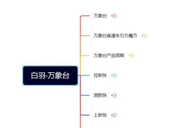 白羽·直引万搜索全篇，从0-1，多个类目实操经验总结付费-千寻创业网