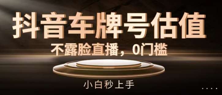 抖音车牌号估值，不露脸直播，0门槛，小白秒上手【揭秘】-千寻创业网