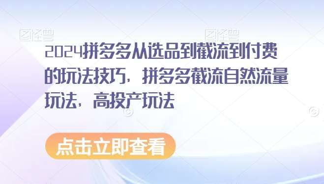 2024拼多多从选品到截流到付费的玩法技巧，拼多多截流自然流量玩法，高投产玩法-千寻创业网