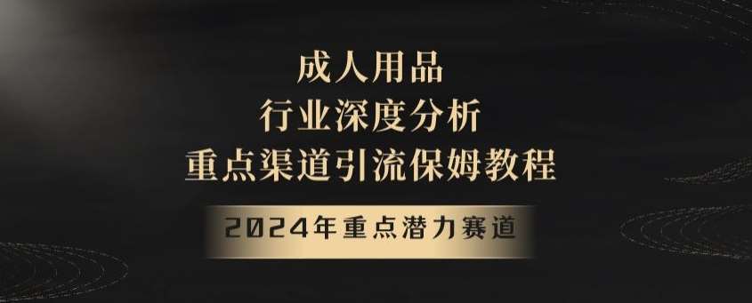 2024年重点潜力赛道，成人用品行业深度分析，重点渠道引流保姆教程【揭秘】-千寻创业网