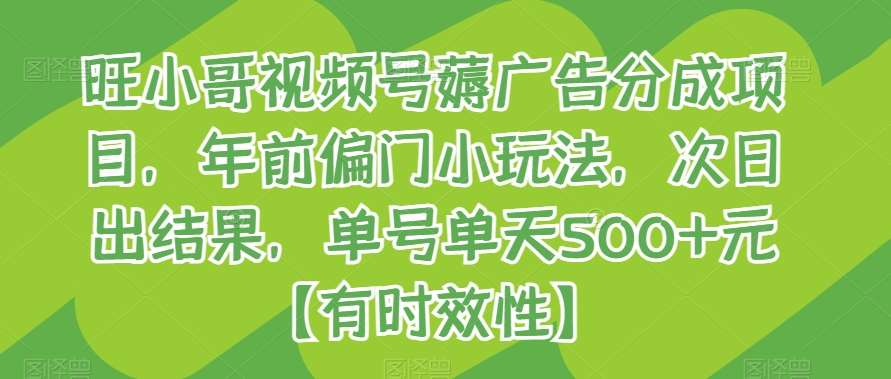 旺小哥视频号薅广告分成项目，年前偏门小玩法，次日出结果，单号单天500+元【有时效性】-千寻创业网