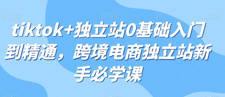 tiktok+独立站0基础入门到精通，跨境电商独立站新手必学课-千寻创业网