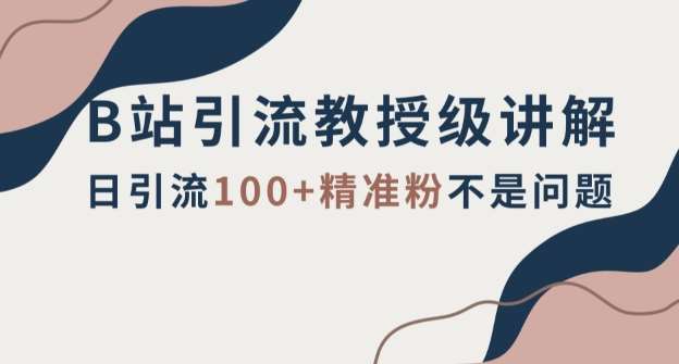 B站引流教授级讲解，细节满满，日引流100+精准粉不是问题【揭秘】-千寻创业网