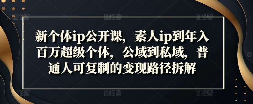 新个体ip公开课，素人ip到年入百万超级个体，公域到私域，普通人可复制的变现路径拆解-千寻创业网