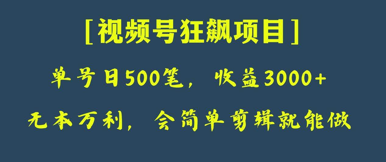 日收款500笔，纯利润3000+，视频号狂飙项目！-千寻创业网