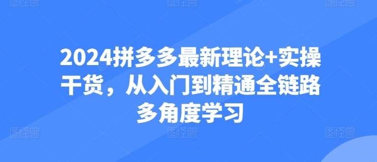 2024拼多多最新理论+实操干货，从入门到精通全链路多角度学习-千寻创业网