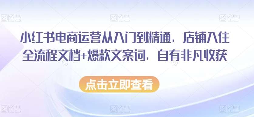 小红书电商运营从入门到精通，店铺入住全流程文档+爆款文案词，自有非凡收获-千寻创业网