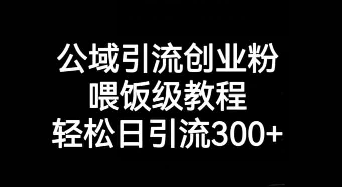 公域引流创业粉，喂饭级教程，轻松日引流300+【揭秘】-千寻创业网