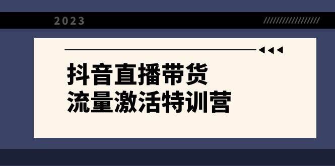 （8185期）抖音直播带货-流量激活特训营，入行新手小白主播必学（21节课+资料）-千寻创业网