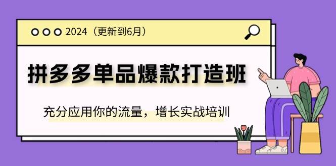 （11556期）2024拼多多-单品爆款打造班(更新6月)，充分应用你的流量，增长实战培训-千寻创业网