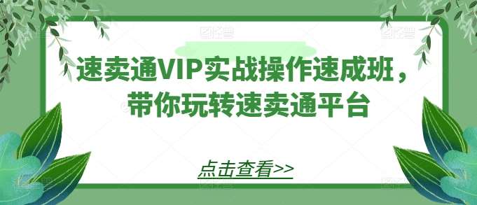 速卖通VIP实战操作速成班，带你玩转速卖通平台-千寻创业网